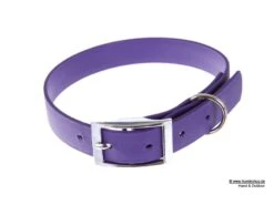Relaxoo Biothane Hundehalsband Violett 25mm Breit
