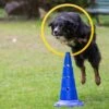 Dog Agility Sprungring Mit Stand-Pylone