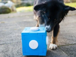 Schnüffel CUBE -Haustierbedarf für Hunde 177956 Product