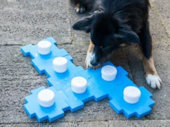 Schnüffel CUBE -Haustierbedarf für Hunde 177958 Product