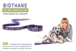 Relaxoo Biothane Hundehalsband Neongrün 19mm Breit 7 Relaxoo Biothane Hundehalsband Neongrün 19mm Breit -Haustierbedarf für Hunde 189219 Product