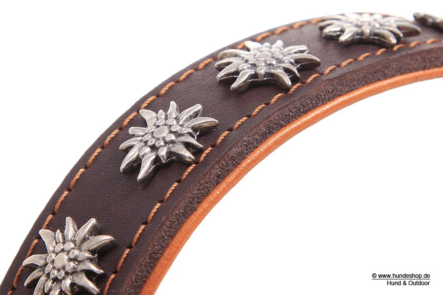 Relaxoo Fettleder Hundehalsband Edelweiß Just Hundesport Edition 2 Relaxoo Fettleder Hundehalsband Edelweiß Just Hundesport Edition – Bild 2