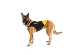 Julius K-9 IDC® Neopren Hundemantel -Haustierbedarf für Hunde 208040 Product