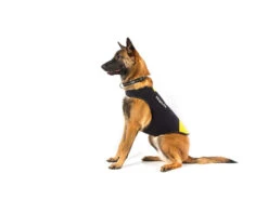 Julius K-9 IDC® Neopren Hundemantel -Haustierbedarf für Hunde 208041 Product