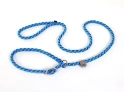 Wolters Everest Moxon Hundeleine Reflektierend Aqua/schwarz