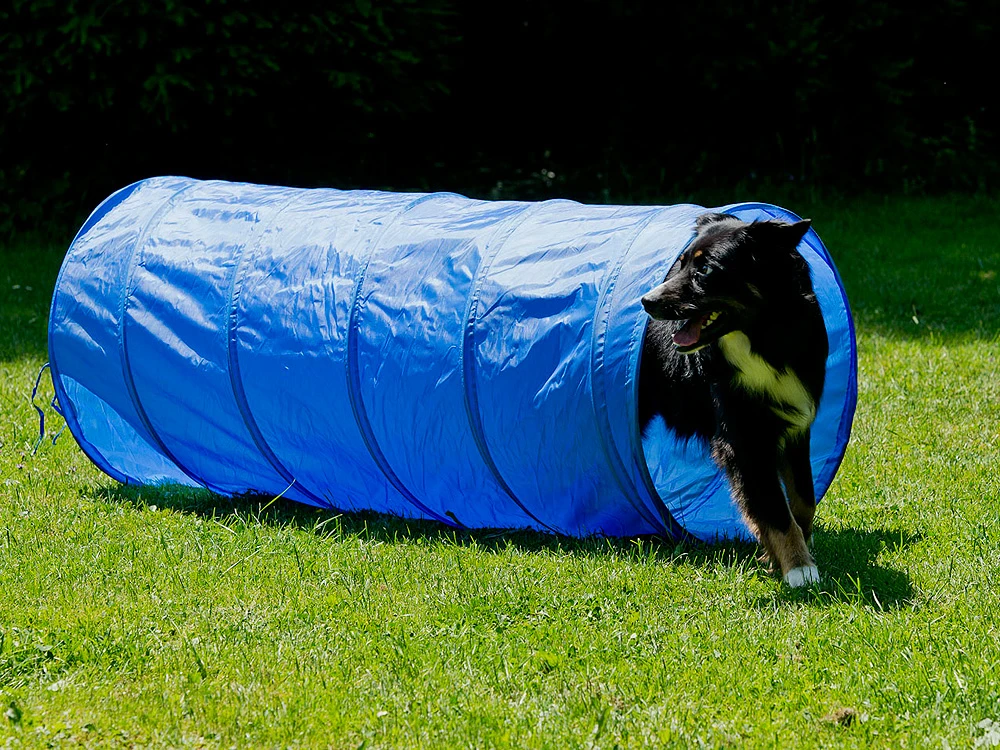 Dog Agility Tunnel 152 Cm X 60 Cm Blau 2 Dog Agility Tunnel 152 Cm X 60 Cm Blau – Bild 2