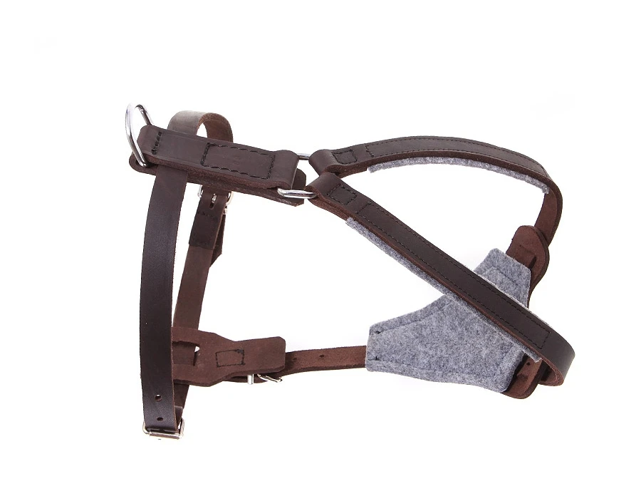 Relaxoo Fettleder Hundegeschirr Just Hundesport Edition 1 Relaxoo Fettleder Hundegeschirr Just Hundesport Edition