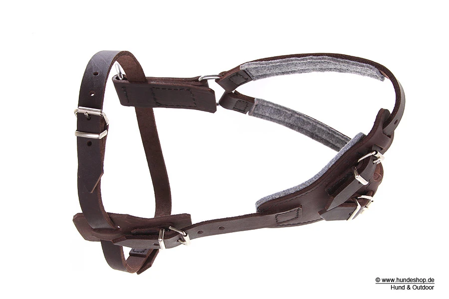 Relaxoo Fettleder Hundegeschirr Just Hundesport Edition 2 Relaxoo Fettleder Hundegeschirr Just Hundesport Edition – Bild 2