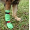 Hunde Latex-Schutzstrumpf Dog Gusti®