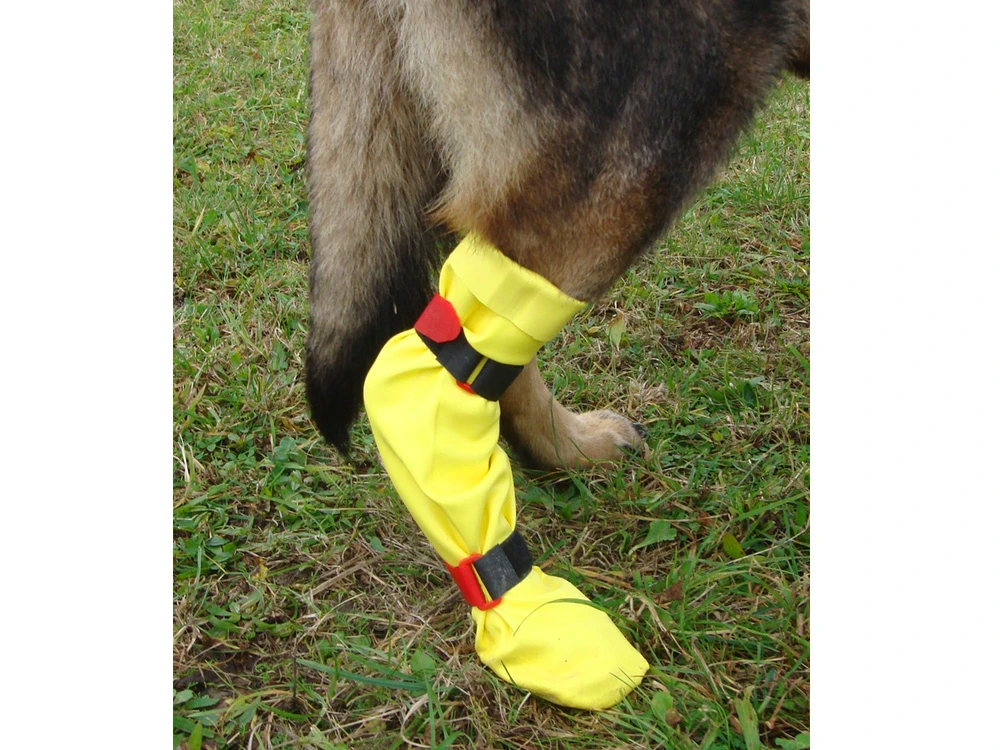 Hunde Latex-Schutzstrumpf Dog Gusti® 2 Hunde Latex-Schutzstrumpf Dog Gusti® – Bild 2