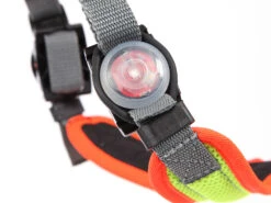 Grossenbacher Mantrailing V Hundegeschirr Neon LED -Haustierbedarf für Hunde 232594 Product