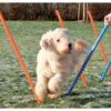 Trixie Agility Parcours 12 Stangen 115 X 3,3 Cm
