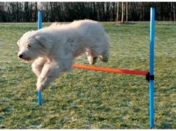 Trixie Agility Parcours Hürde, 115 X 3,3 Cm