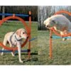 Trixie Agility Parcours Ring, 65 Cm