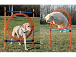 Trixie Agility Parcours Ring, 65 Cm
