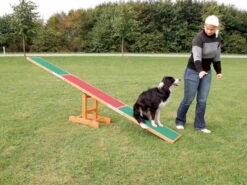 Trixie Dog Activity Fun Agility Wippe Aus Kiefernholz