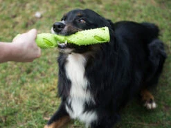 Magic Dummy -Haustierbedarf für Hunde 281683 Product