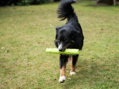 Magic Dummy -Haustierbedarf für Hunde 281685 Product