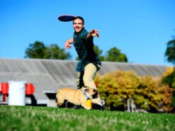 Chuckit Paraflight Frisbee Schwimmfähig -Haustierbedarf für Hunde 318419 Product