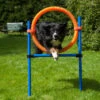 Dog Agility Champion Sprungring 50 Cm