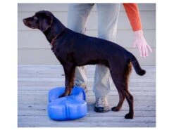 FitPAWS® K9 FITbone -Haustierbedarf für Hunde 395383 Product