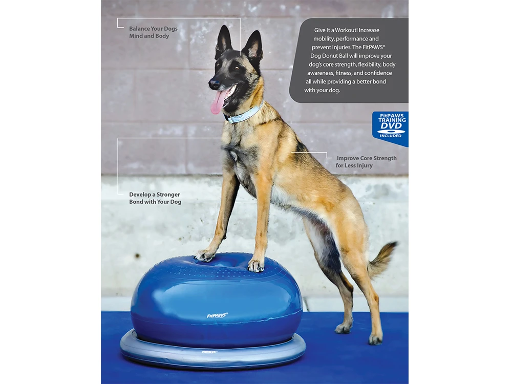 FitPAWS® Donut Holder 1 FitPAWS® Donut Holder