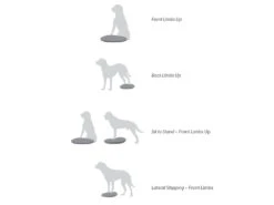 FitPAWS® Balance Disc Lavendel -Haustierbedarf für Hunde 395702 Product