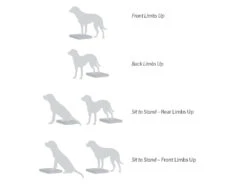 FitPAWS® Balance Pad -Haustierbedarf für Hunde 395805 Product