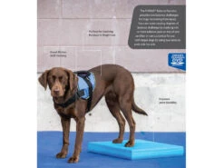 FitPAWS® Balance Pad -Haustierbedarf für Hunde 395807 Product