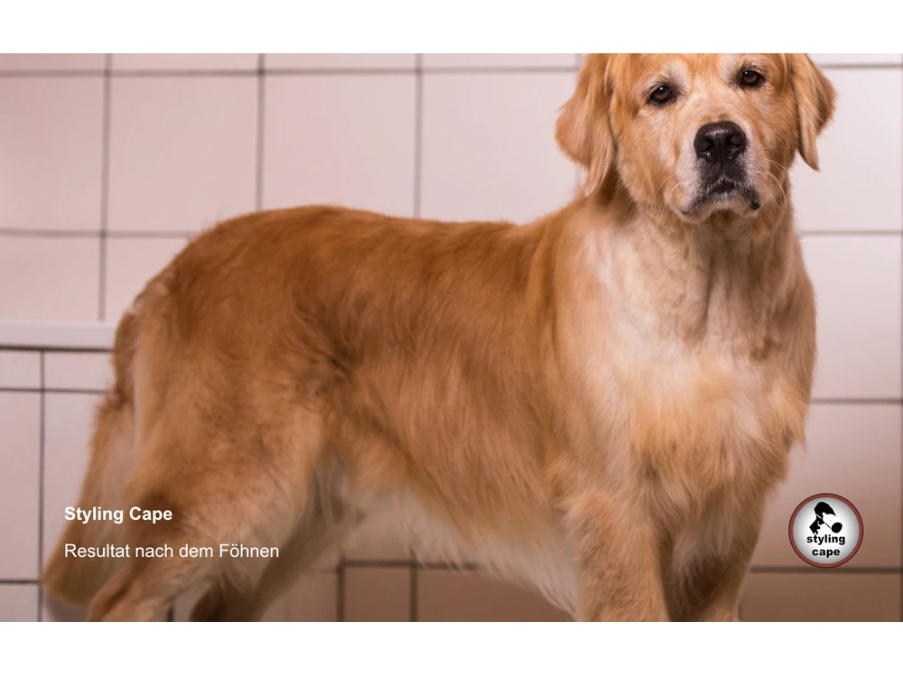 Styling Cape Für Ausstellungen 4 Styling Cape Für Ausstellungen – Bild 4
