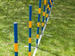 Hundesport Profi Agility Slalom -Haustierbedarf für Hunde 422547 Product