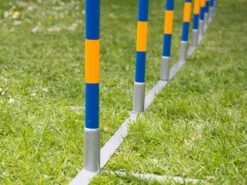 Hundesport Profi Agility Slalom -Haustierbedarf für Hunde 422549 Product