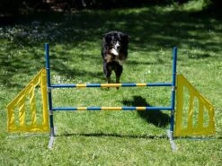 Hundesport Agility Hürde Mit Seitenteilen 7 Hundesport Agility Hürde Mit Seitenteilen -Haustierbedarf für Hunde 422631 Product
