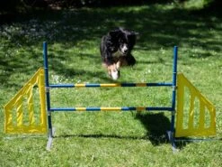 Hundesport Agility Hürde Mit Seitenteilen 8 Hundesport Agility Hürde Mit Seitenteilen -Haustierbedarf für Hunde 422633 Product