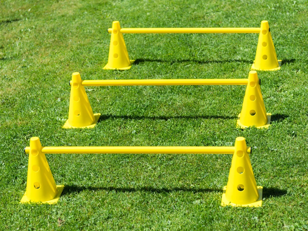 Dog Agility Pylonenhürde Kegelhürde 23 Cm Gelb 2 Dog Agility Pylonenhürde Kegelhürde 23 Cm Gelb – Bild 2