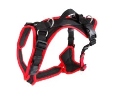 Grossenbacher Hundegeschirr Vary Rot