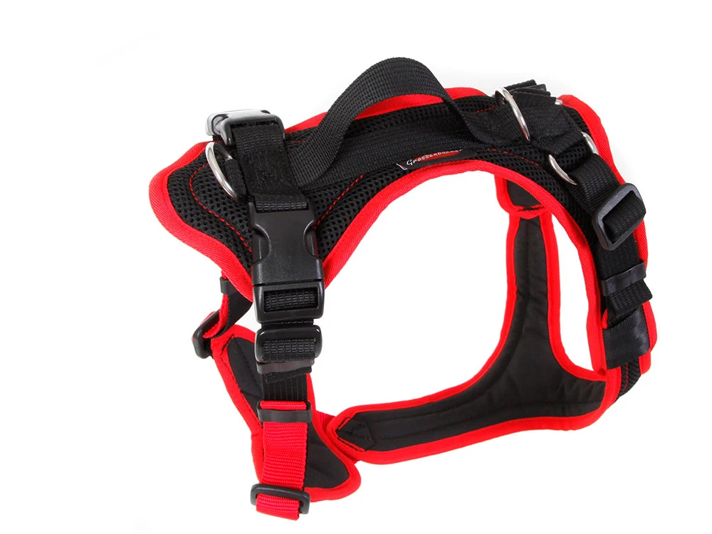 Grossenbacher Hundegeschirr Vary Rot 2 Grossenbacher Hundegeschirr Vary Rot – Bild 2