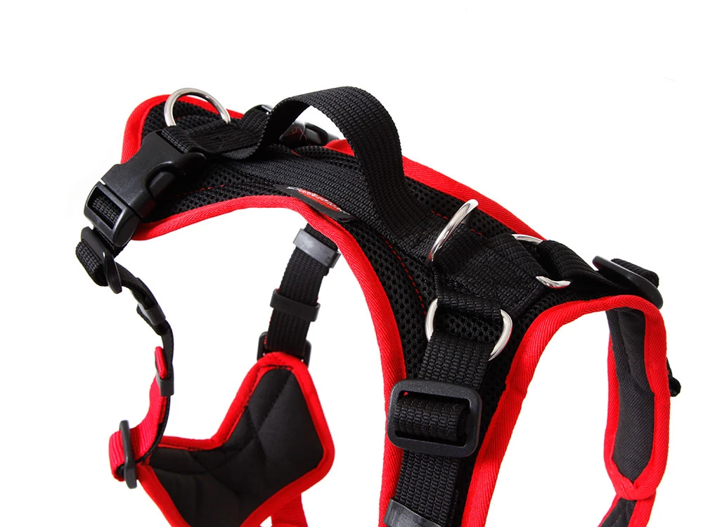 Grossenbacher Hundegeschirr Vary Rot 3 Grossenbacher Hundegeschirr Vary Rot – Bild 3