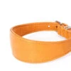 Windhunde Halsband Luxor Nappaleder Cognac