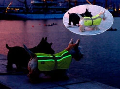 Leucht- & Wärme Hundemantel Flecta Vizlite DT -Haustierbedarf für Hunde 440605 Product