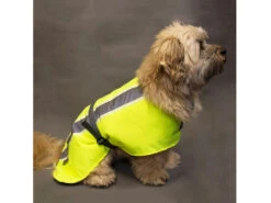 Leucht- & Wärme Hundemantel Flecta Vizlite DT -Haustierbedarf für Hunde 440607 Product