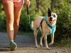 Ruffwear Hi & Light™ Hundegeschirr Blue Atoll -Haustierbedarf für Hunde 476294 Product