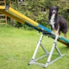 Hunde Profi Agility Turnier Wippe FCI Konform