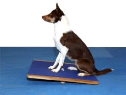 FitPAWS® Giant Rocker Board -Haustierbedarf für Hunde 482492 Product