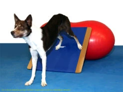 FitPAWS® Giant Rocker Board -Haustierbedarf für Hunde 482496 Product