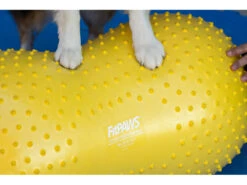 FitPAWS® Peanut Trax Gelb 40 Cm -Haustierbedarf für Hunde 482565 Product