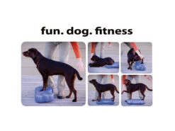 FitPAWS® K9 FITbone -Haustierbedarf für Hunde 482638 Product
