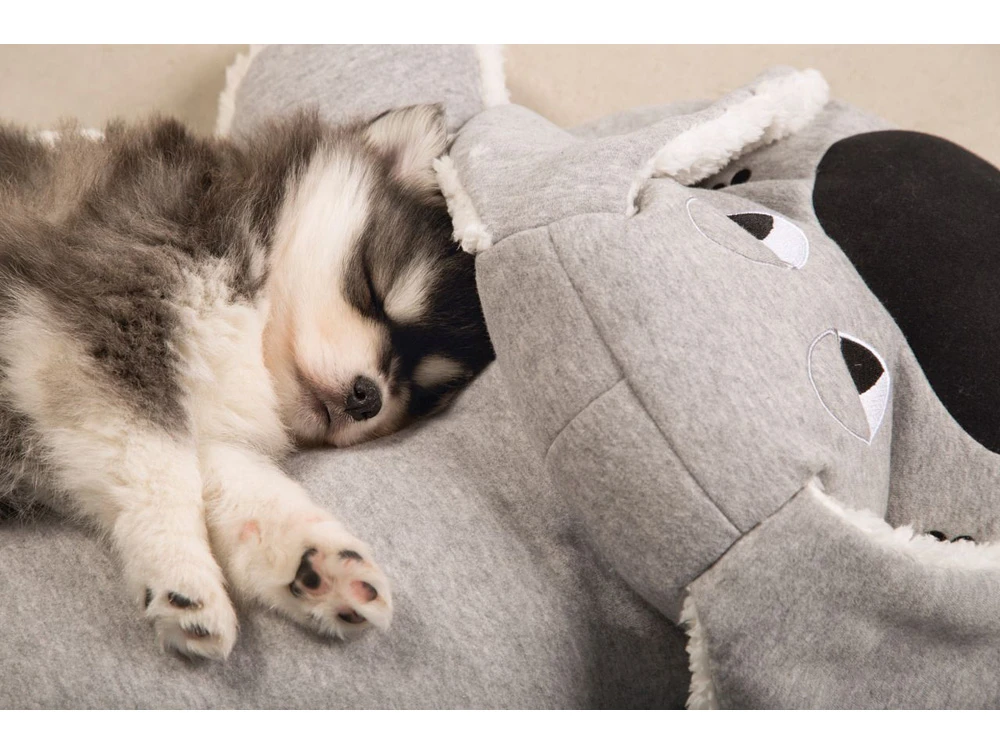 Hello Puppy Kuschel Boomba Welpen Schlafhilfe 2 Hello Puppy Kuschel Boomba Welpen Schlafhilfe – Bild 2