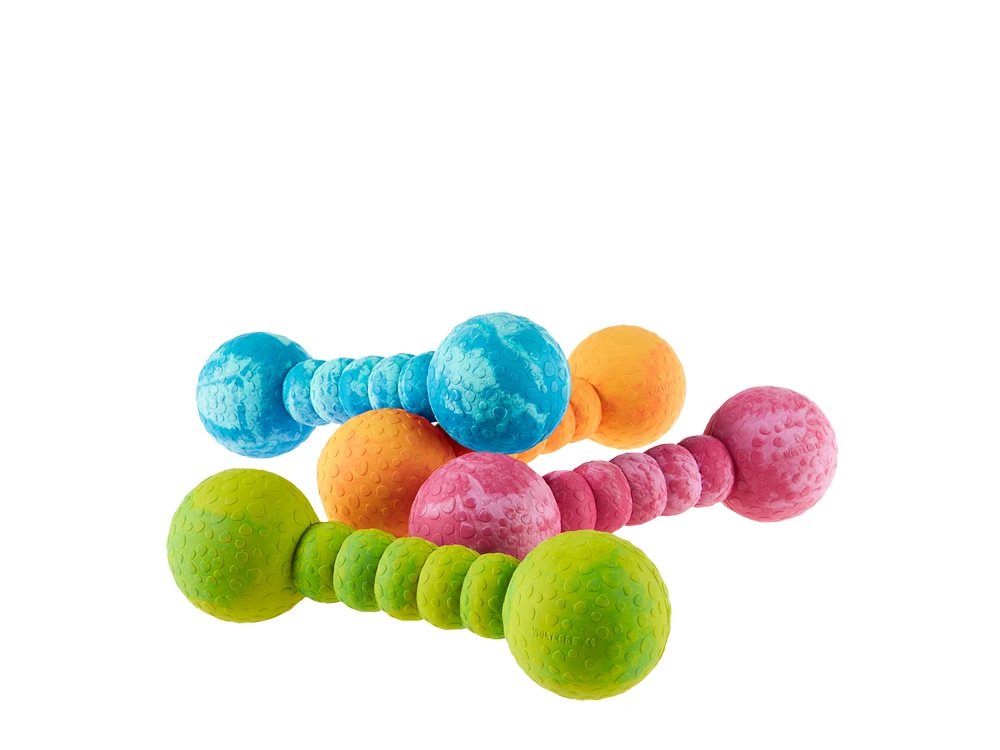 Wolters Aqua Fun Gym Spielhantel 1 Wolters Aqua Fun Gym Spielhantel