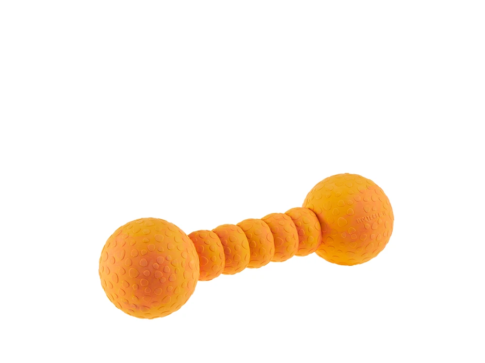 Wolters Aqua Fun Gym Spielhantel 4 Wolters Aqua Fun Gym Spielhantel – Bild 4